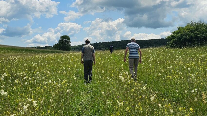 Fundația ADEPT Transilvania a câștigat o finanțare pentru conservarea biodiversității din Angofa