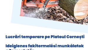 Lucrări de exploatare forestieră la Platoul Corneşti, începând de mâine Lucrări de exploatare forestieră la Platoul Corneşti, începând de mâine