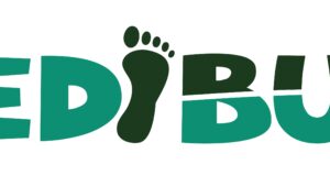 Programul Pedibus funcționează în 13 localități din țară