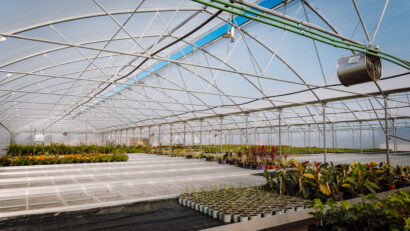 Investiție de peste 2 milioane de lei la serele din Târgu Mureș