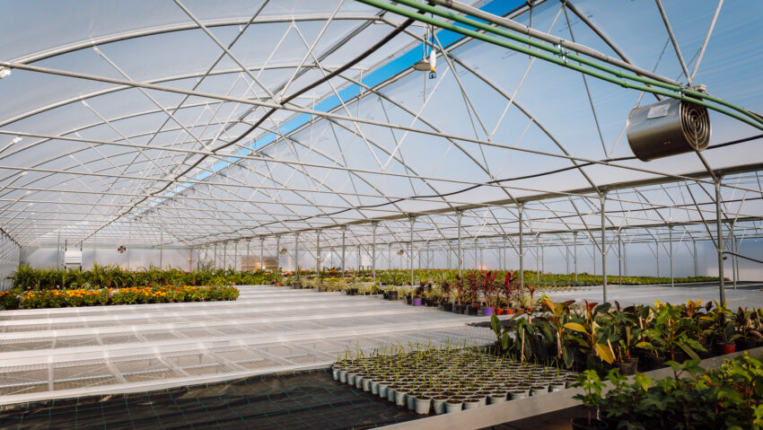 Investiție de peste 2 milioane de lei la serele din Târgu Mureș