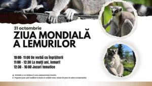 Vineri, Ziua lemurilor la ZOO Brașov Vineri, Ziua lemurilor la ZOO Brașov