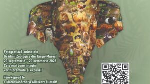 Fotografiile câștigătoare ale concursului ZOOmArt vor fi expuse vineri la Zoo Târgu Mureș Fotografiile câștigătoare ale concursului ZOOmArt vor fi expuse vineri la Zoo Târgu Mureș