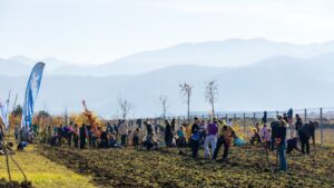 O nouă pădure urbană, la Braşov