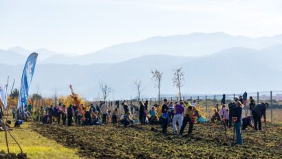O nouă pădure urbană, la Braşov