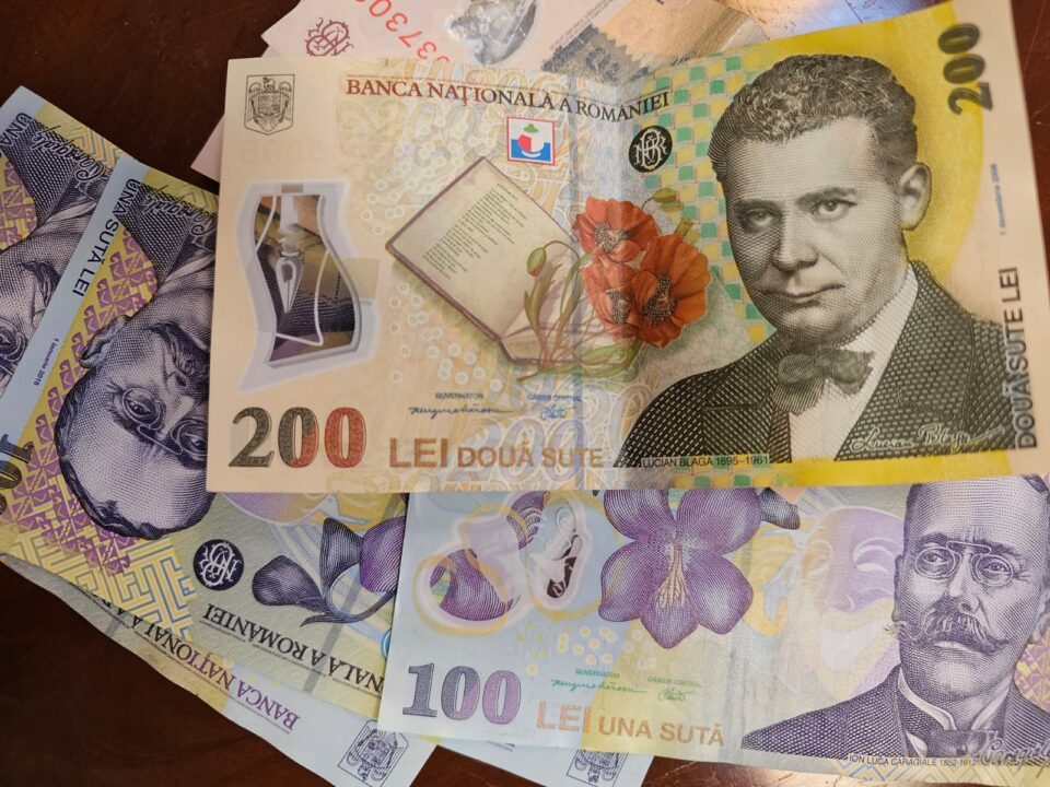Sindicatele, nemulțumite de graba cu care guvernanții vor să adopte Legea Salarizării