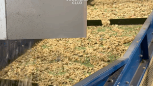 Minutul de Viitor, cu Raluca Creț | Clujul devine pionier în gestionarea sustenabilă a deșeurilor