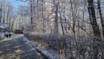 Grădina Zoologică din Târgu Mureș anunță începerea sezonului de sărbători