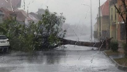 Vântul puternic a avariat acoperişuri şi fire electrice şi a smuls din rădăcini copaci, pe raza județului Brașov