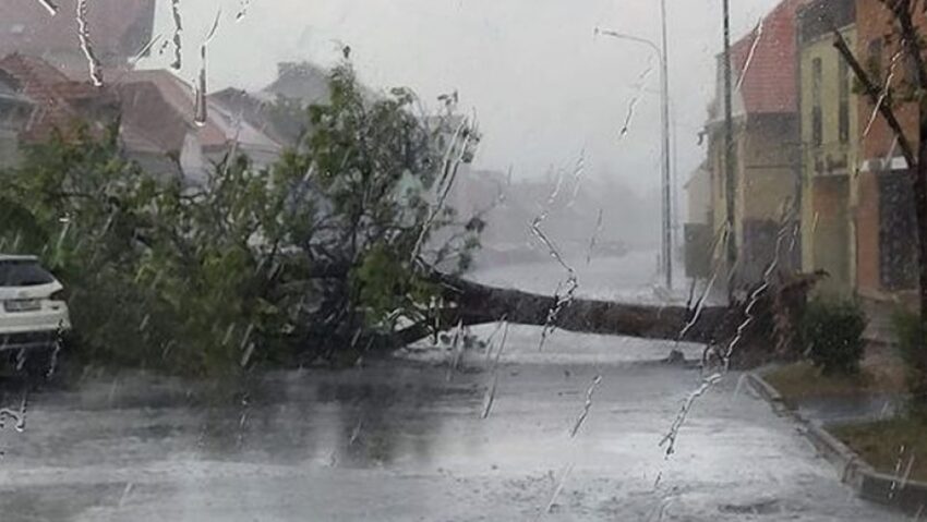 Vântul puternic a avariat acoperişuri şi fire electrice şi a smuls din rădăcini copaci, pe raza județului Brașov
