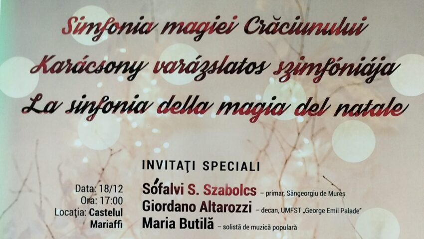 Ziua Națională a Minorităților celebrată la Sângeorgiu de Mureș într-un mod inedit