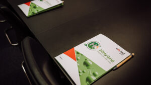 Gazele verzi, biometanul și hidrogenul, printre soluțiile tranziției energetice a României