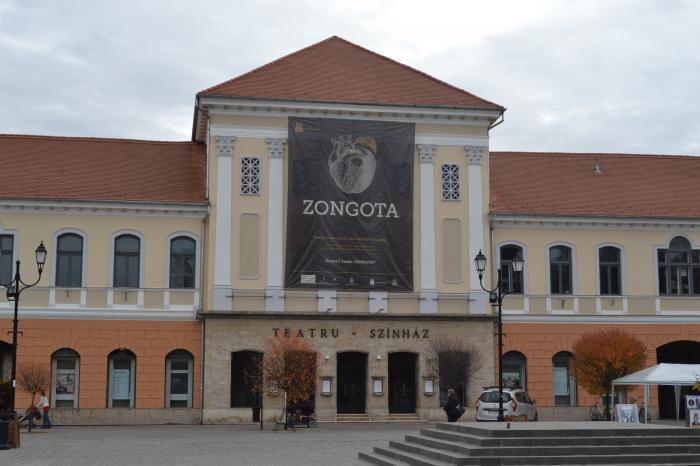 Aproape 3.000 de creații vor fi proiectate pe Teatrul „Tamási Áron” din Sfântu Gheorghe
