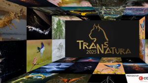 Cele mai bune fotografii înscrise în Concursul Internaţional TransNatura, prezentate la Sfântu Gheorghe