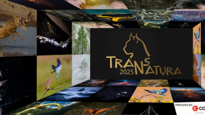 Cele mai bune fotografii înscrise în Concursul Internaţional TransNatura, prezentate la Sfântu Gheorghe