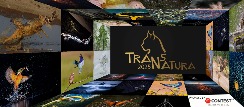 Cele mai bune fotografii înscrise în Concursul Internaţional TransNatura, prezentate la Sfântu Gheorghe