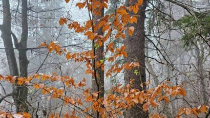 Vremea va fi mult mai caldã decât normalul perioadei