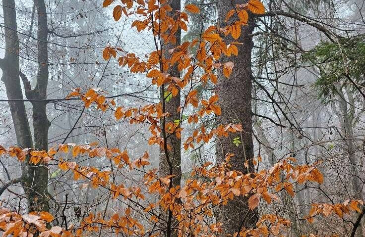 Vremea va fi mult mai caldã decât normalul perioadei