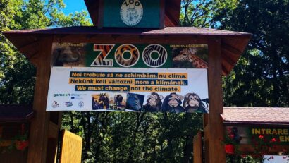 Casa Verde de la Grădina Zoologică din Târgu Mureș a fost închisă pentru public