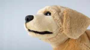 Info Gadget, cu Raluca Creț | Tombot, un câine robot conceput special pentru a oferi sprijin emoțional și terapie