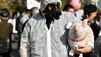 Medicii veterinari protestează azi în Piaţa Victoriei faţă de reducerea finanţării serviciilor sanitar-veterinare