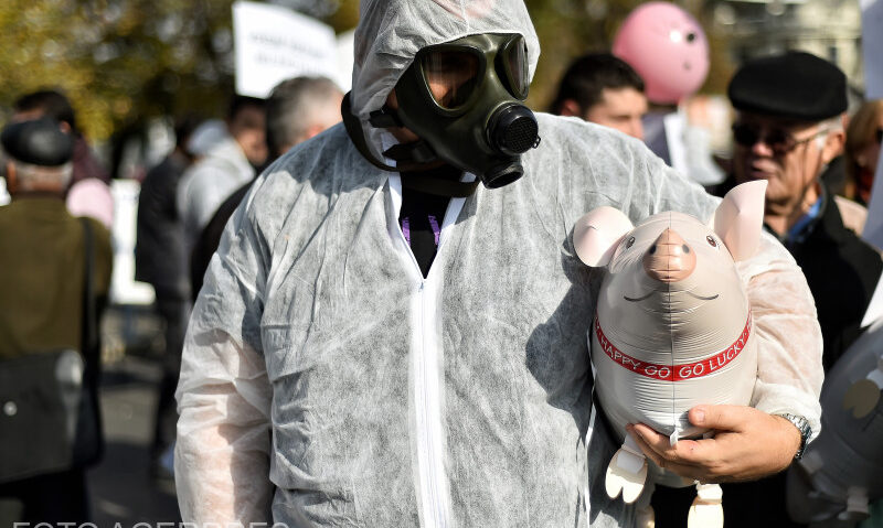 Medicii veterinari protestează azi în Piaţa Victoriei faţă de reducerea finanţării serviciilor sanitar-veterinare