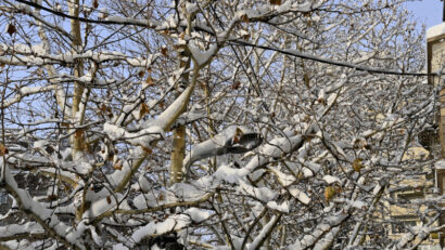 Informarea de vreme deosebit de rece a fost prelungită până joi