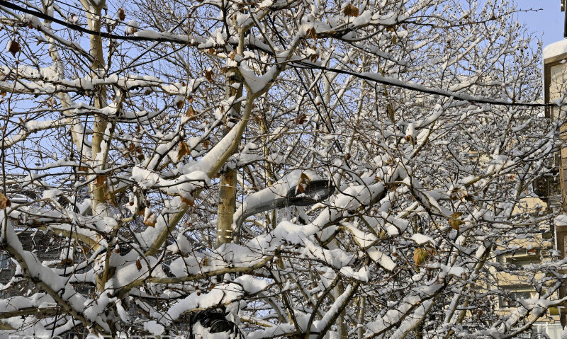 Informarea de vreme deosebit de rece a fost prelungită până vineri