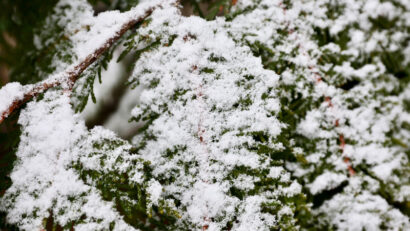 Vremea apropiată de normalul termic al perioadei mâine în Transilvania