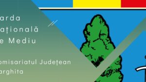 Amenzi de peste 2 milioane de lei aplicate de Garda de Mediu Harghita în 2025