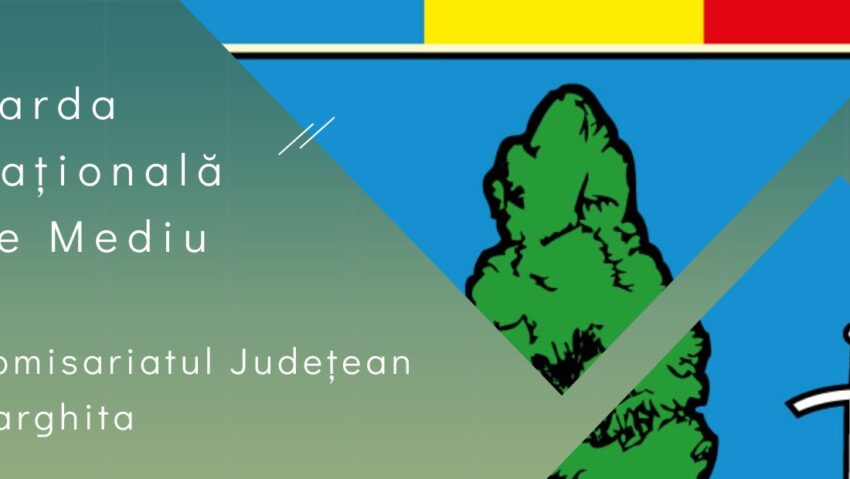 Amenzi de peste 2 milioane de lei aplicate de Garda de Mediu Harghita în 2025