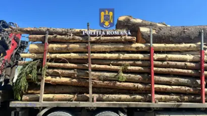Poliţiştii din Zărneşti au confiscat 10 metri cubi de lemn transportat ilegal şi au deschis dosare penale pentru furt, transport ilegal şi conducere sub influenţa alcoolulu