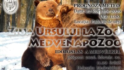 Ziua ursului, la Grădina Zoologică din Târgu Mureș