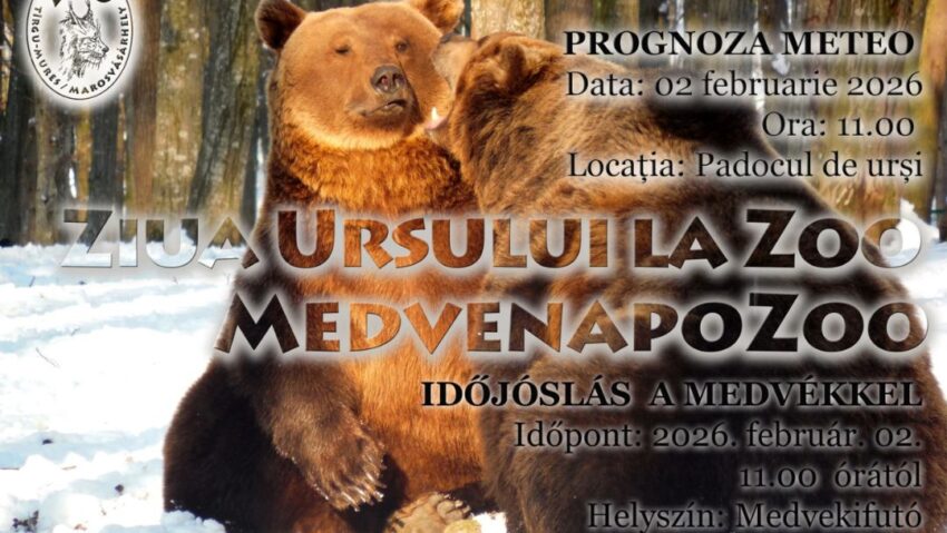 Ziua ursului, la Grădina Zoologică din Târgu Mureș
