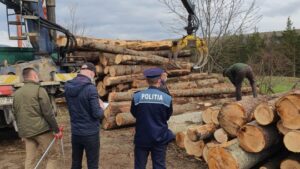 Amendă de 20.000 de lei pentru nereguli descoperite la o societate care activează în domeniul silvic, în Harghita