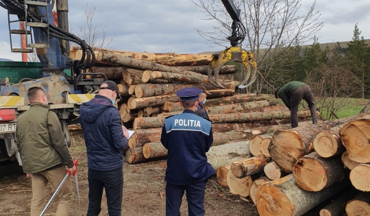 Amendă de 20.000 de lei pentru nereguli descoperite la o societate care activează în domeniul silvic, în Harghita