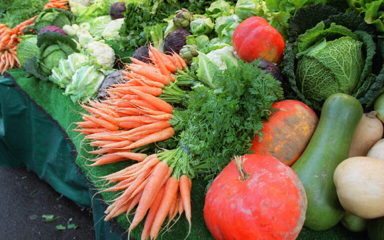 Copilării – Domnul Țelină și prietenii sănătății