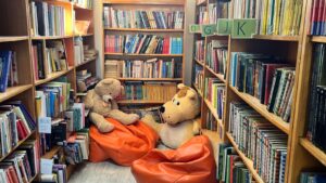 Bibliotecile din Harghita și Mureș devin hub-uri digitale