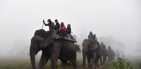Posibilă dovadă că generalul Hannibal a folosit elefanţi în luptă