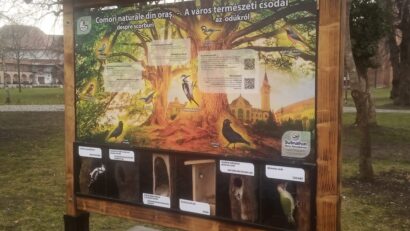 Panou interactiv privind protecția mediului, la Târgu Mureș