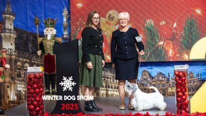 Ce înseamnă cultura chinologică în context contemporan?