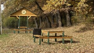 Reghinul va avea un parc urban multifuncțional în zona Pădurea Rotundă