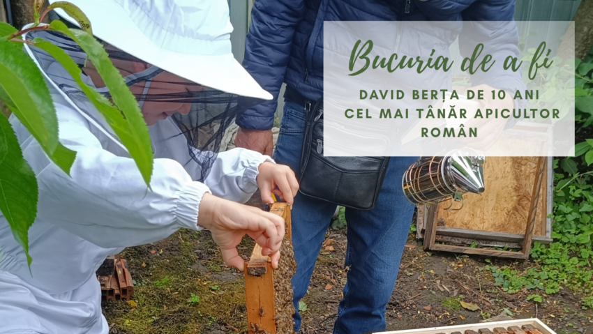 Bucuria de a fi | David- cel mai mic apicultor român