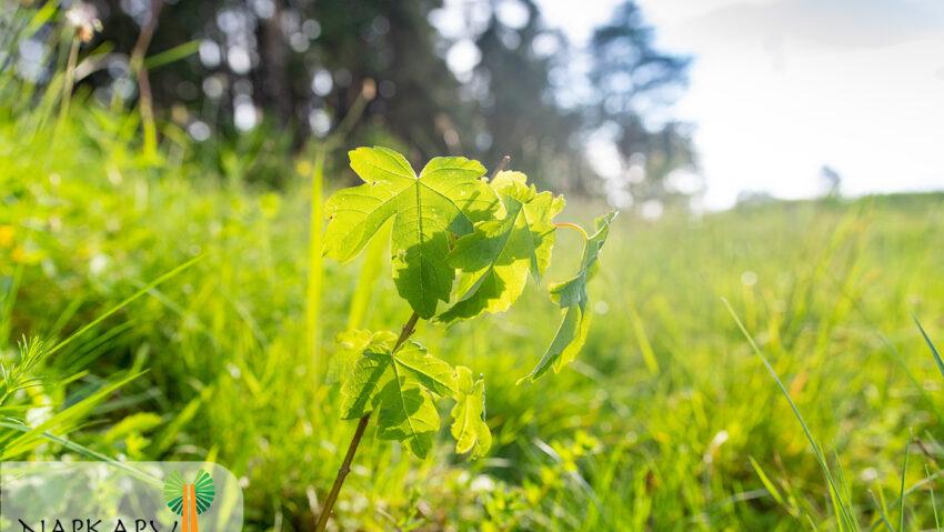 Programul ‘Poarta de Soare’ continuă cu revitalizarea spaţiilor urbane din Sfântu Gheorghe