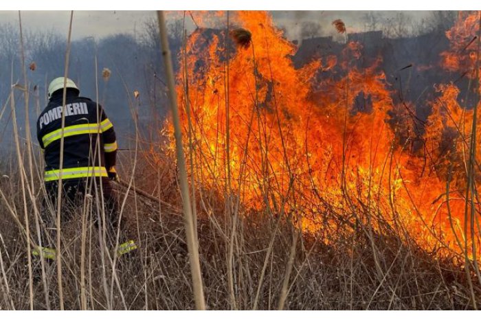 Puternic incendiu de vegetație în județul Mureș
