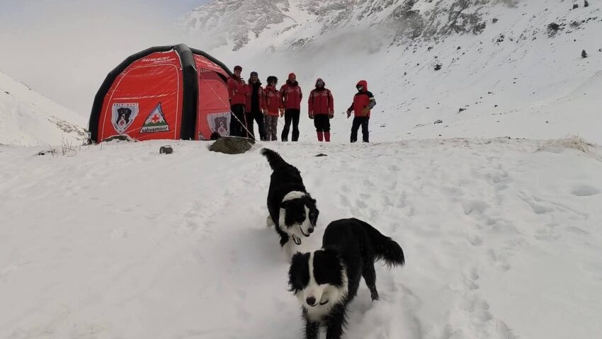 Unitățile canine Salvamont, la stagiu de pregătire în Munții Făgăraș
