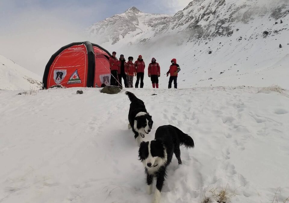 Unitățile canine Salvamont, la stagiu de pregătire în Munții Făgăraș