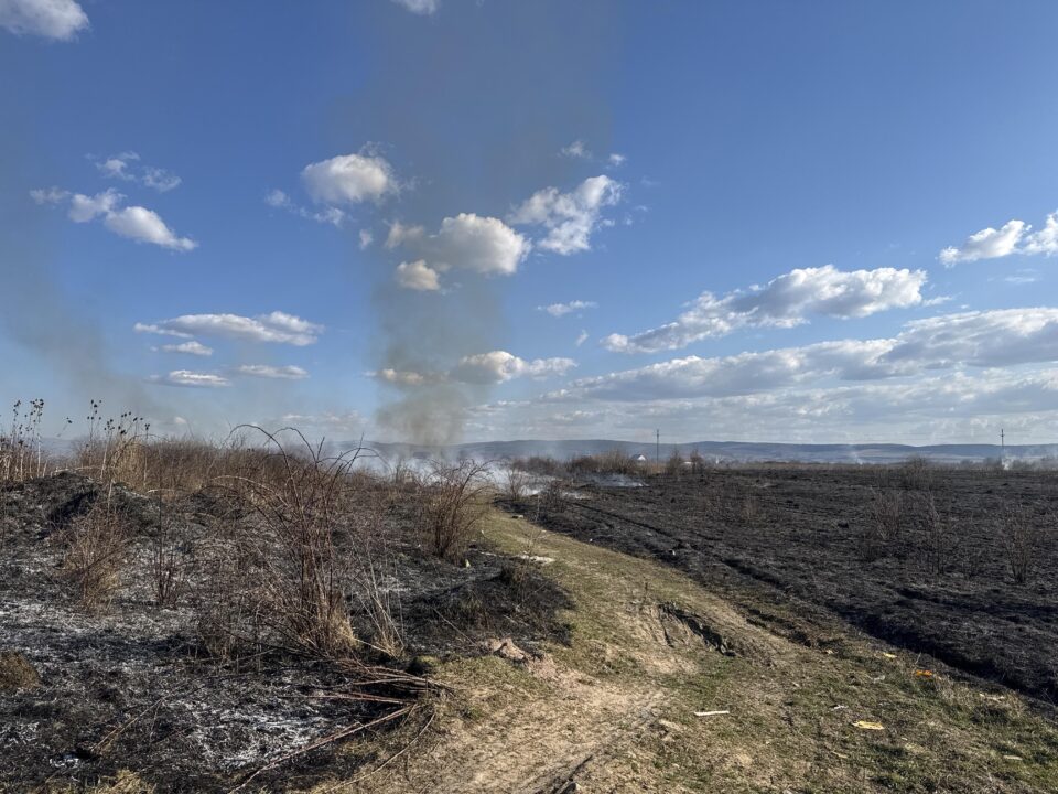Zeci de hectare de vegetație uscată și miriște au fost afectate, ieri, de incendii în județul Mureș