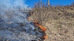 Două trenuri de călători, oprite din cauza unui incendiu de vegetaţie între Archita şi Mureni