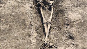 Mureș: Vestigii romane descoperite la Cristești